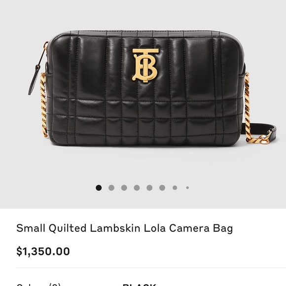 Burberry crossbody - Picture 4 of 13